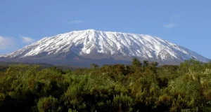 kilimanjaro